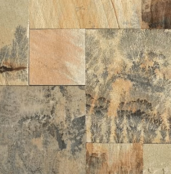 fossil mint sandstone
