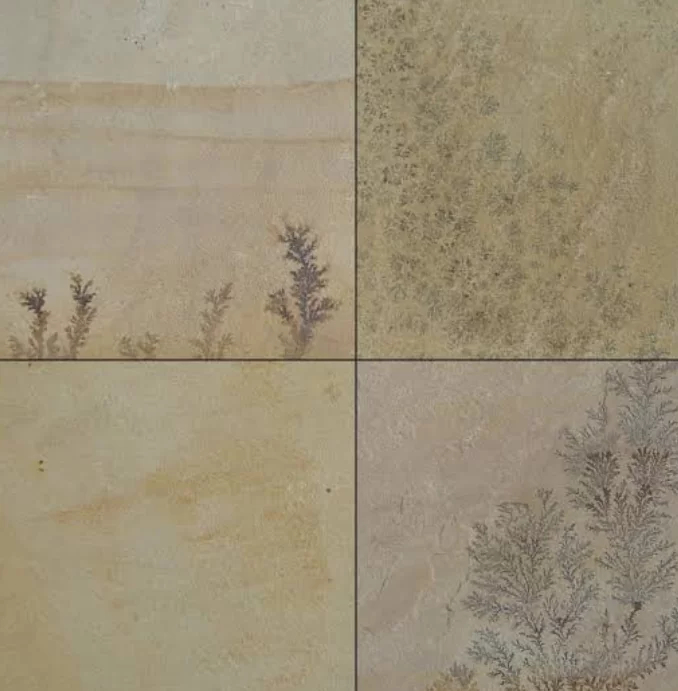 fossil mint sandstone